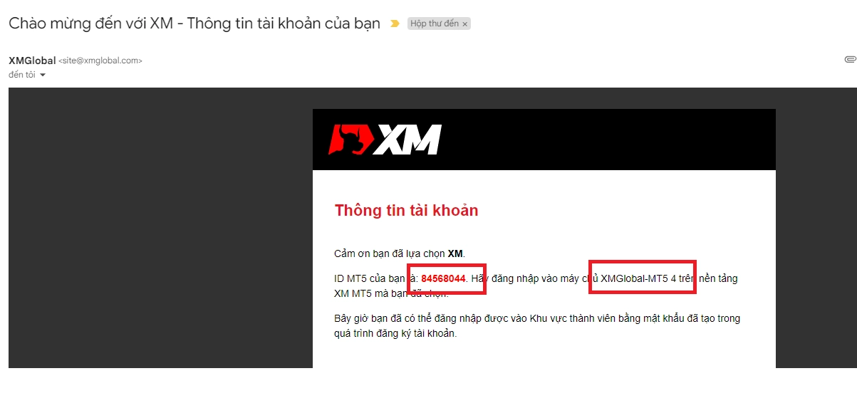 Mẫu email chứa thông tin tài khoản