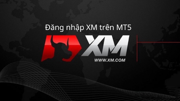 Đăng nhập XM trên Metatrader 5