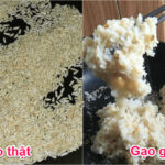 phan-biet-gao-that-gao-gia